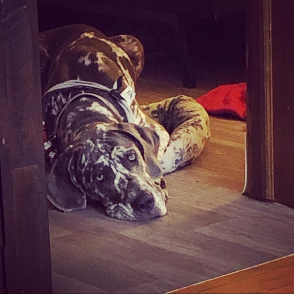 My baby needs surgery! - Picture 5 of 10